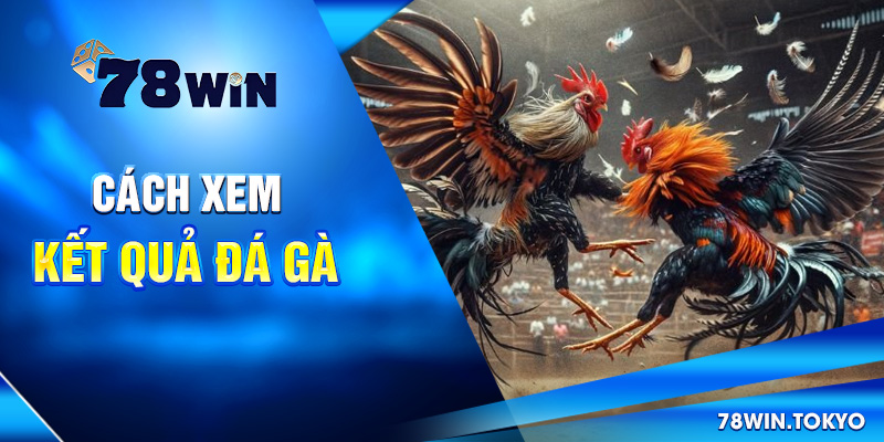 Cập Nhật Kết Quả Đá Gà Online 78WIN – Chuẩn Từng Giây 8 Cách xem kết quả đá gà